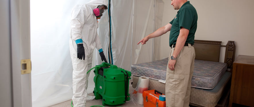 Calgary, AB mold removal process